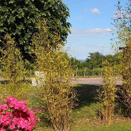 Bed and Breakfast La Tuiliere Mutigny Esterno foto